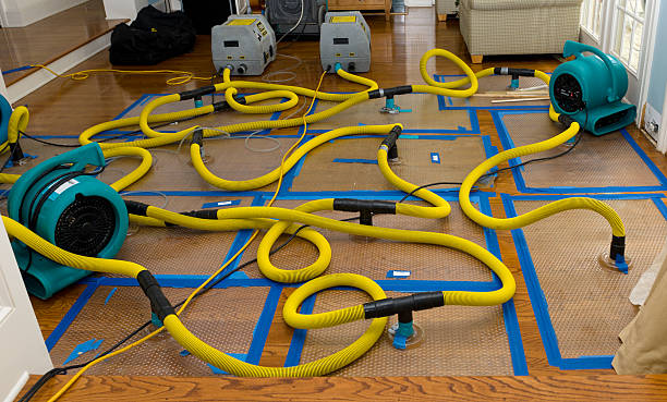 Professional Crawl Space Water Removal technician working in Hospers, IA